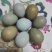 野鸡蛋食用40~50g