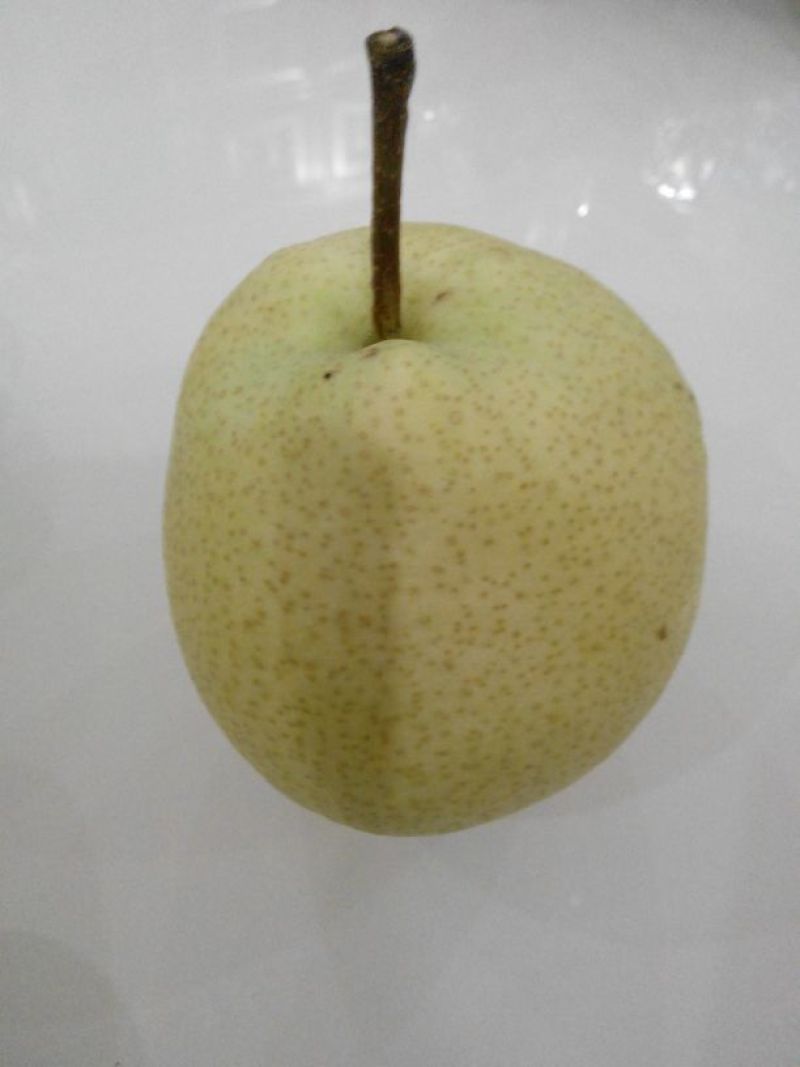 贡梨250~300g纸袋