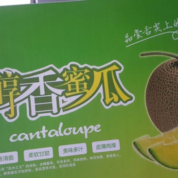 网纹瓜2斤以上椭圆形
