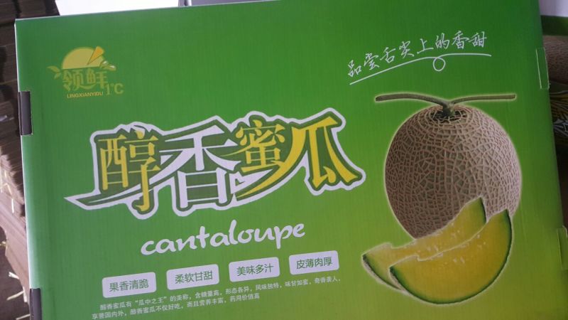 网纹瓜2斤以上椭圆形