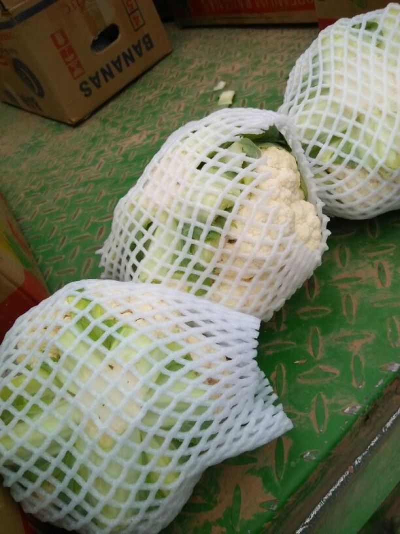 精品菜花，天天有货，产地直销，量大价优，物美价廉