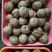 山核桃去皮干