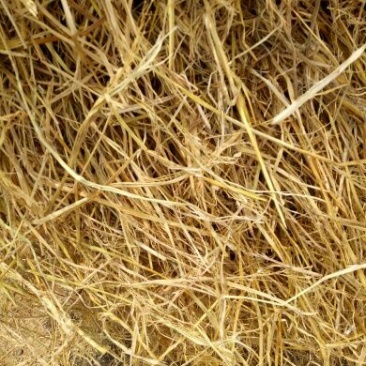 稻草60公分以下