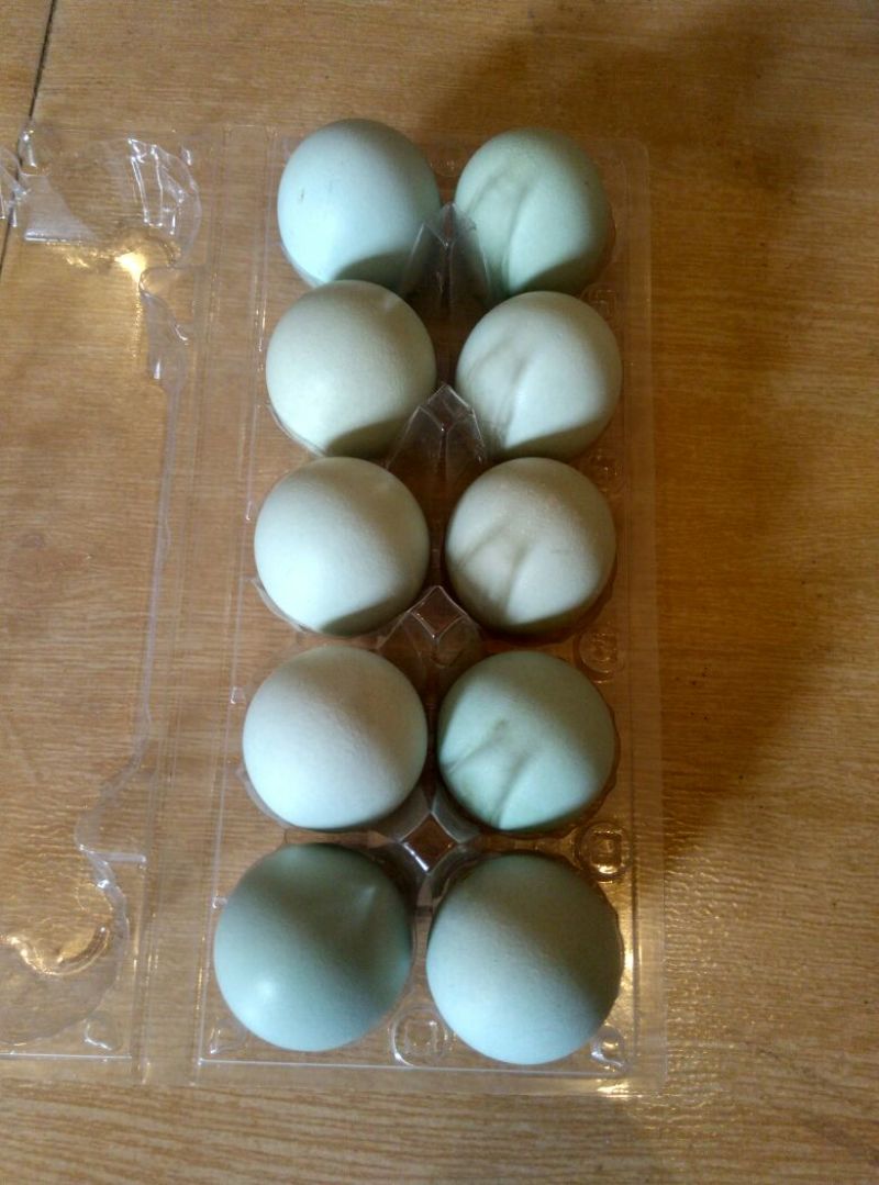 绿壳鸡蛋食用50g以下
