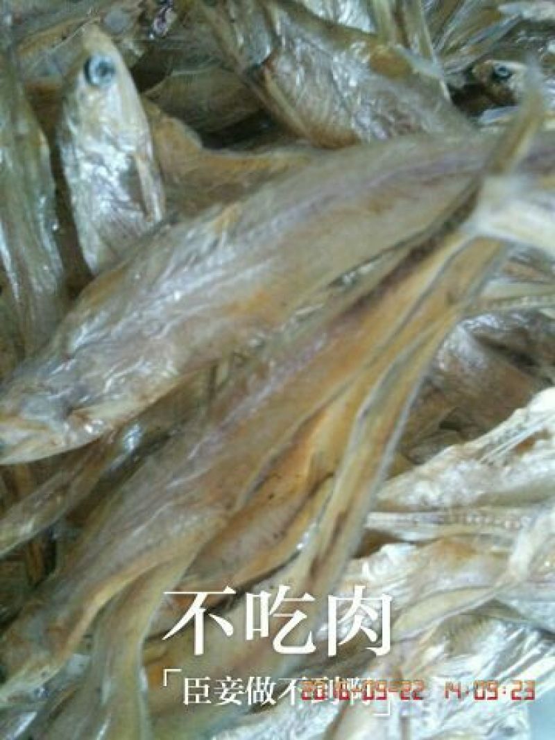 毛花鱼干