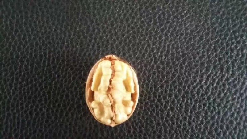 薄皮核桃