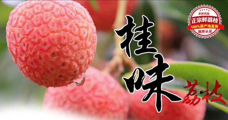 桂味荔枝 2cm以上批发_龙杰供应_一亩田农业