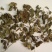 紫苏叶紫苏片紫苏梗紫苏紫苏段紫苏籽紫苏专营