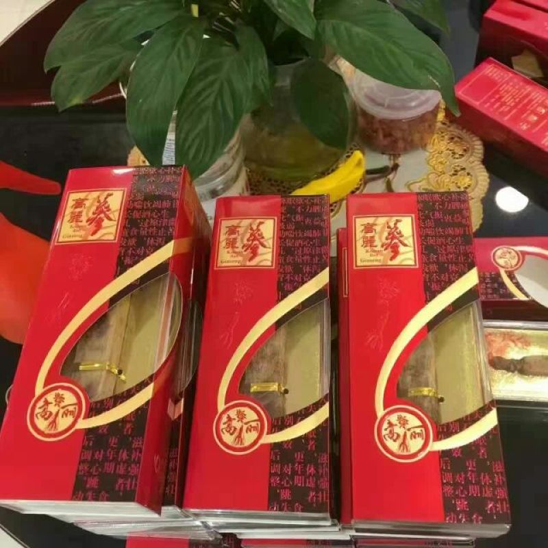 高丽参