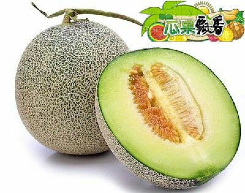 网纹瓜3斤以上椭圆形