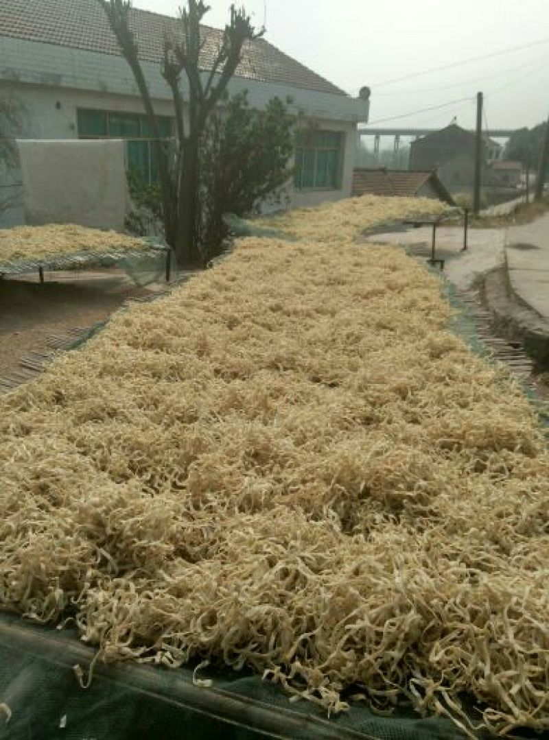 豆腐皮
