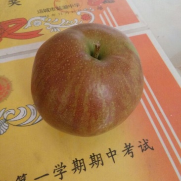 玉露香350~400g膜袋