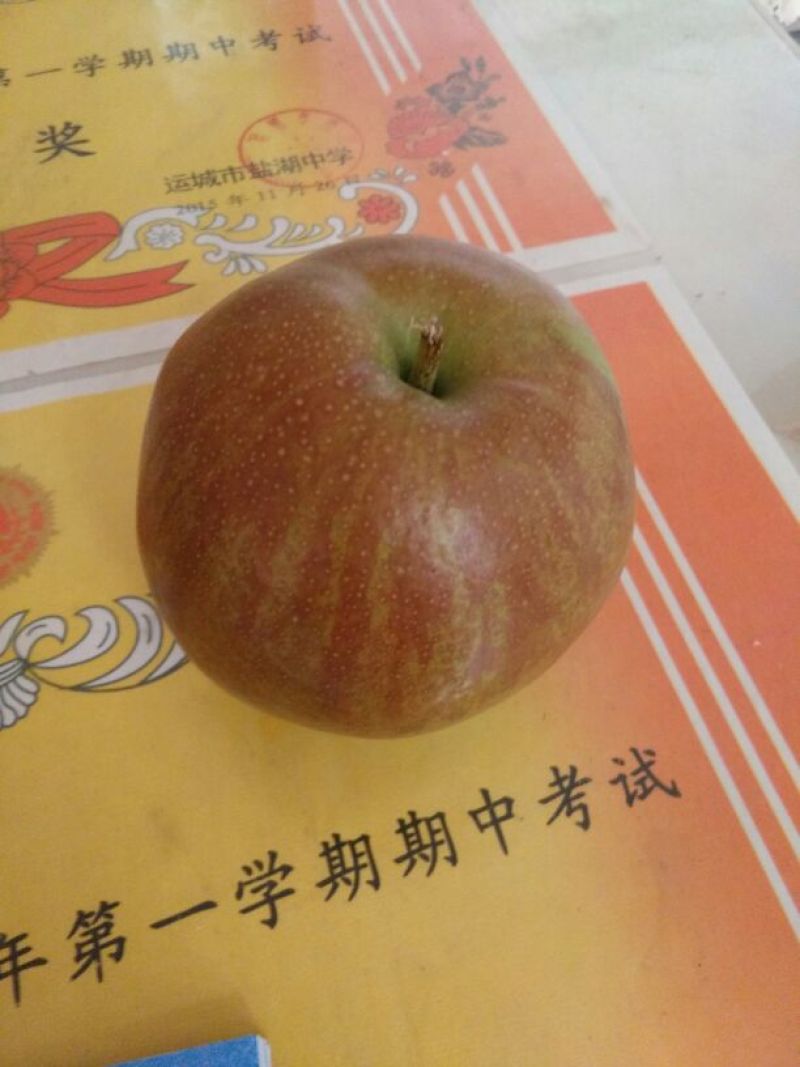玉露香350~400g膜袋