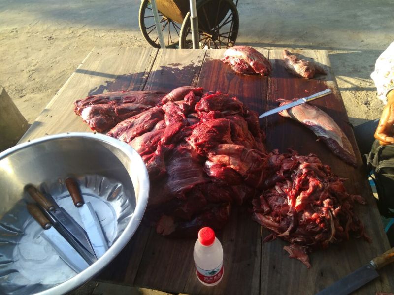 牛肉干黄牛肉鲜肉