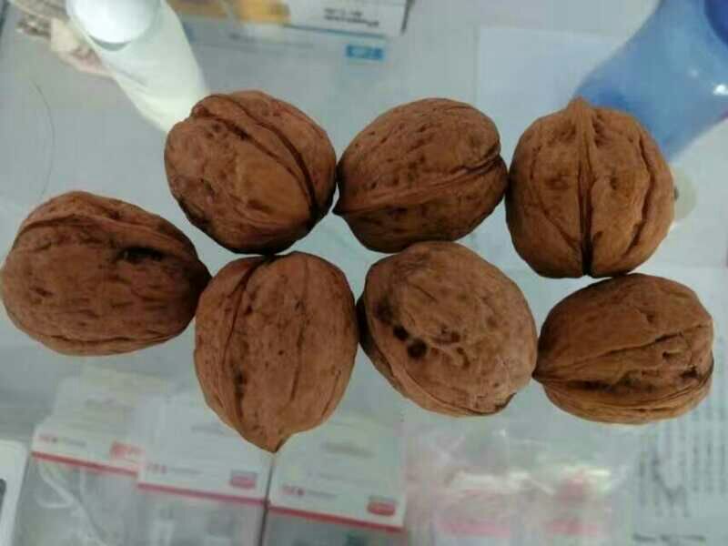 清香核桃40mm以上去皮干