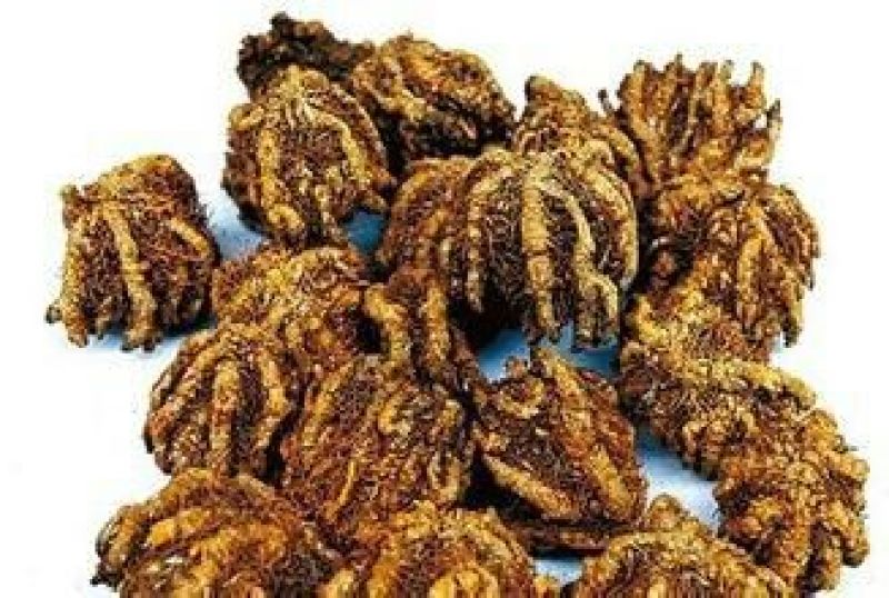 黄连鸡爪统