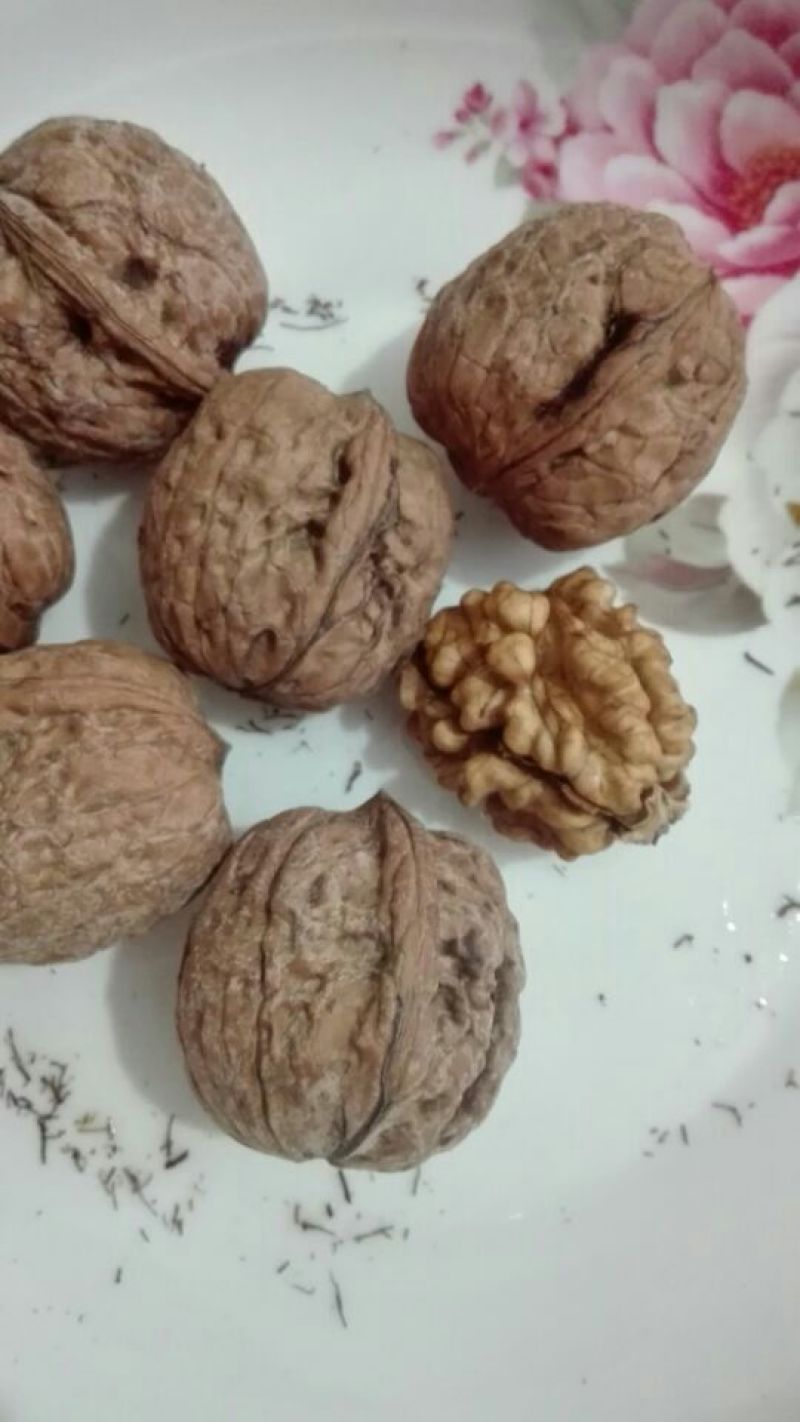 核桃去皮干