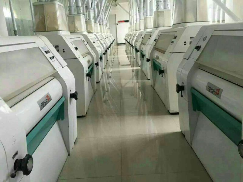 麦麸一级