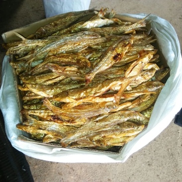 鱼干烤鱼干