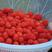 树莓苗品种好吃大量供应盆栽庭院阳台种植