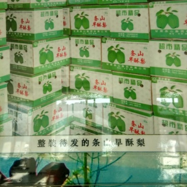 早酥梨550~600g筐装