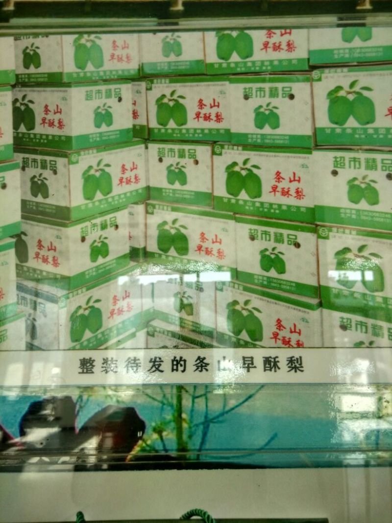早酥梨550~600g筐装