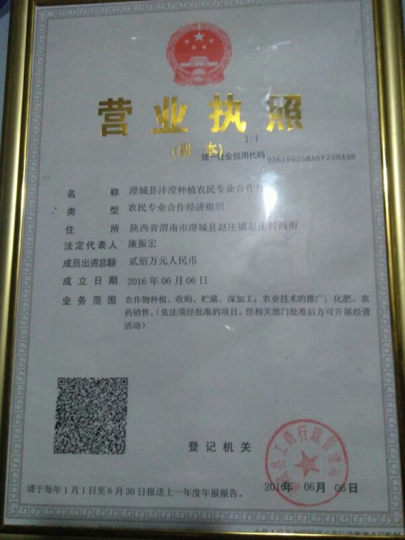 压榨菜籽油四级
