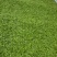 石阡苔茶特级