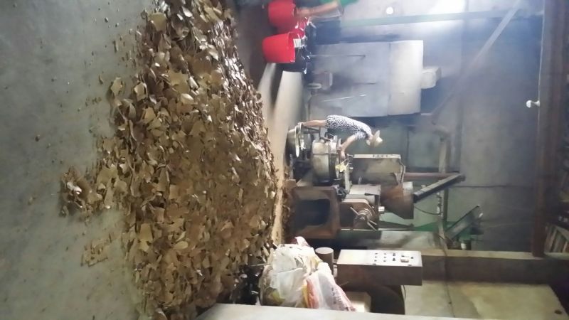非转基因菜籽油一级