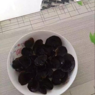 黑木耳