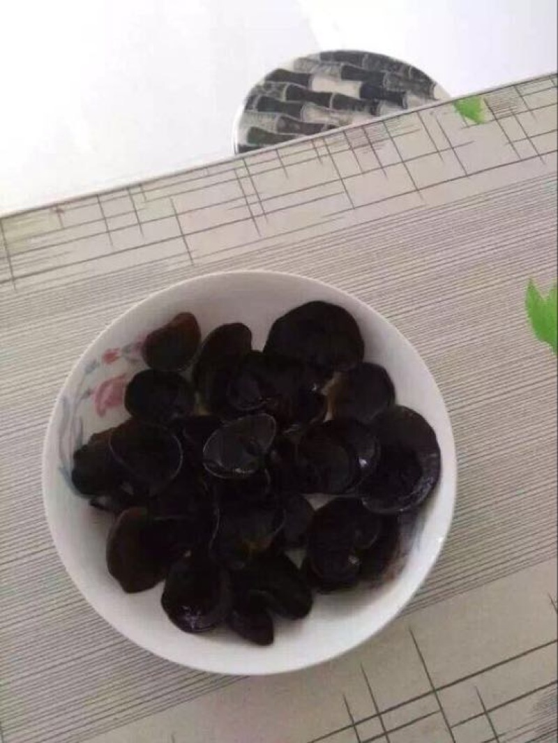 黑木耳