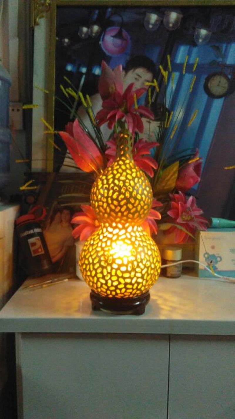 长嘴亚腰葫芦35~45cm