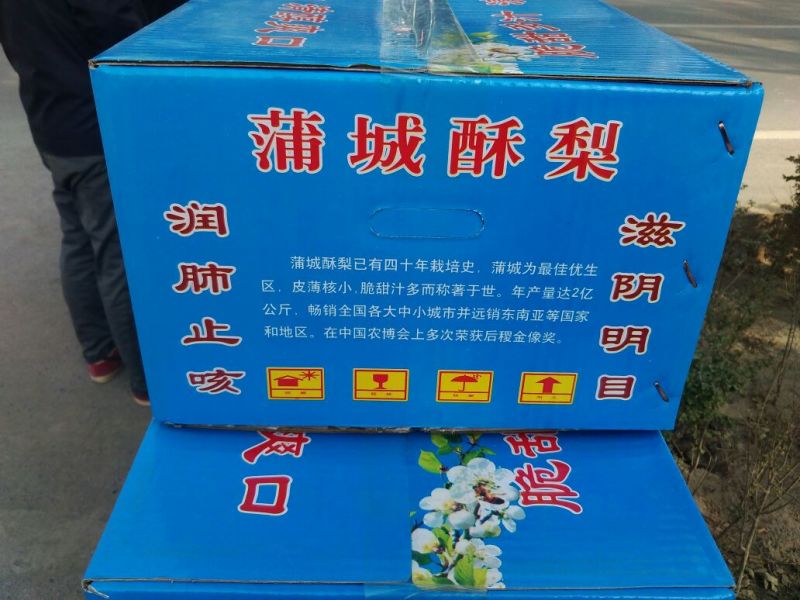 蒲城酥梨300~350g纸箱
