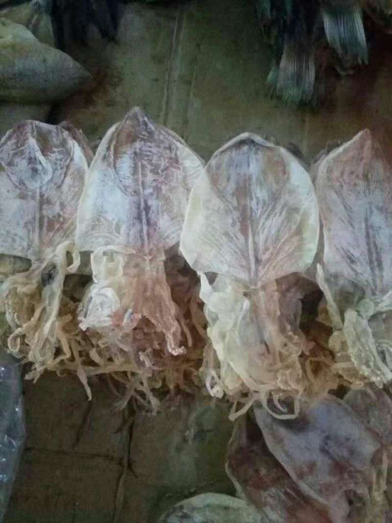 鱿鱼干散装