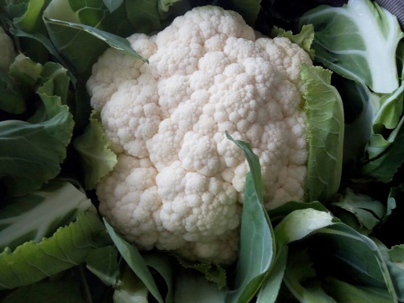 菜花1斤，实花紧密，乳白，花型好看，无鼓包