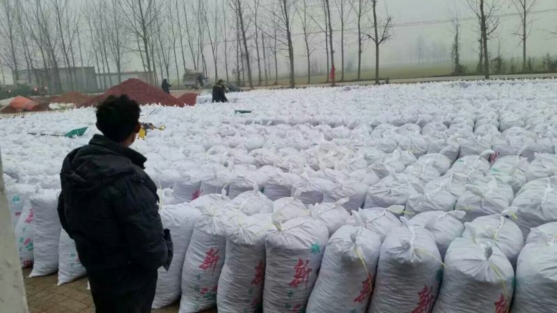 干辣椒精品8.5成干