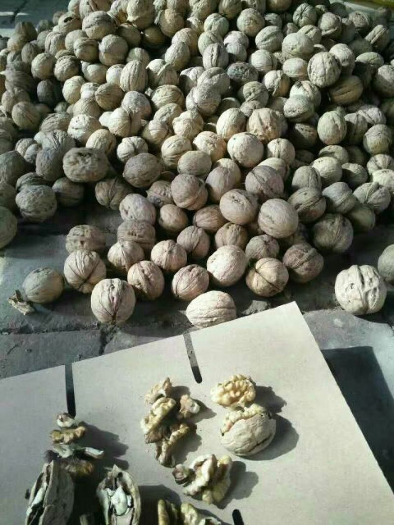 清香干核桃
