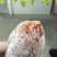 柿饼1~2两