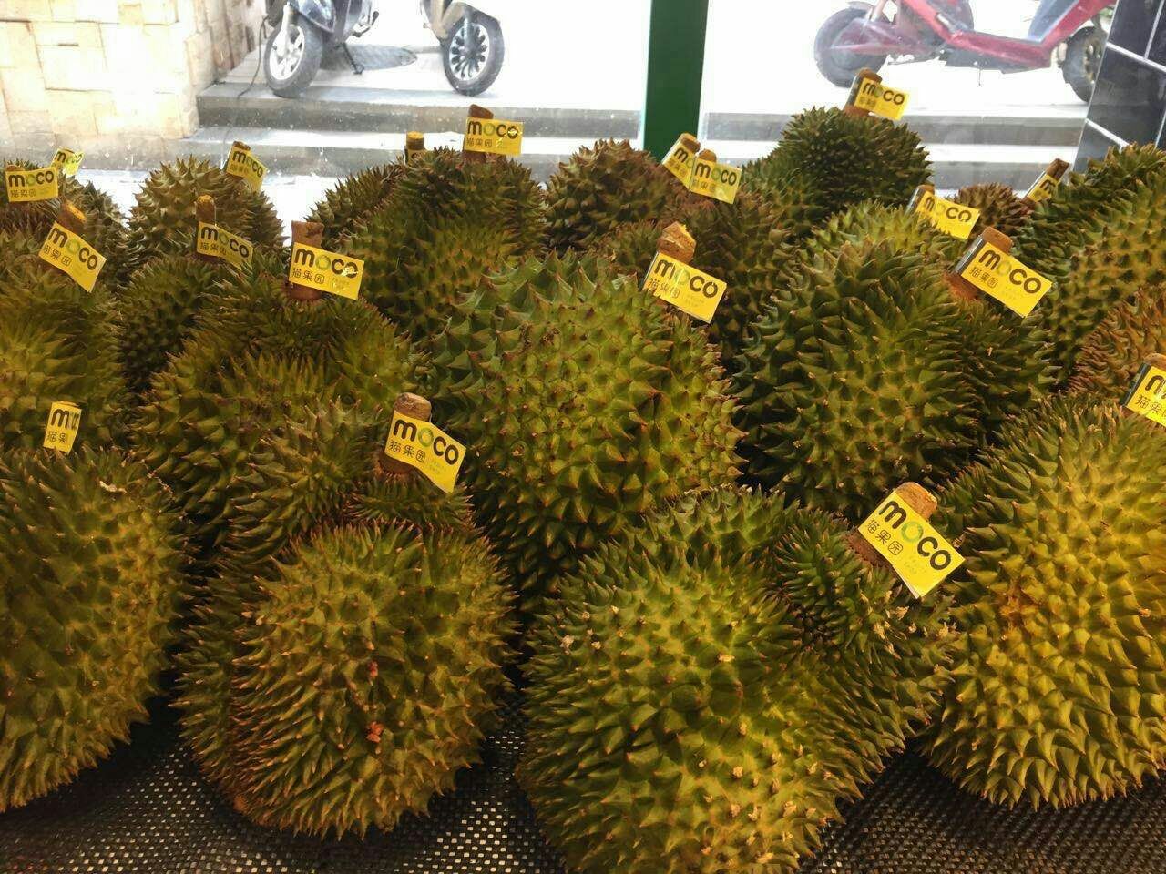 泰国四色菊“火山榴莲”行情失控，价格创近20年新低 - 中国水果门户