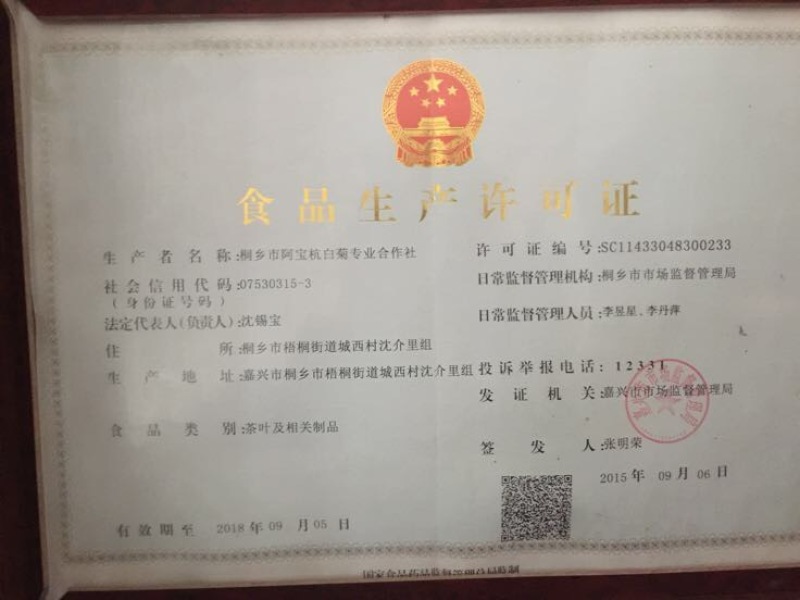 杭州白菊