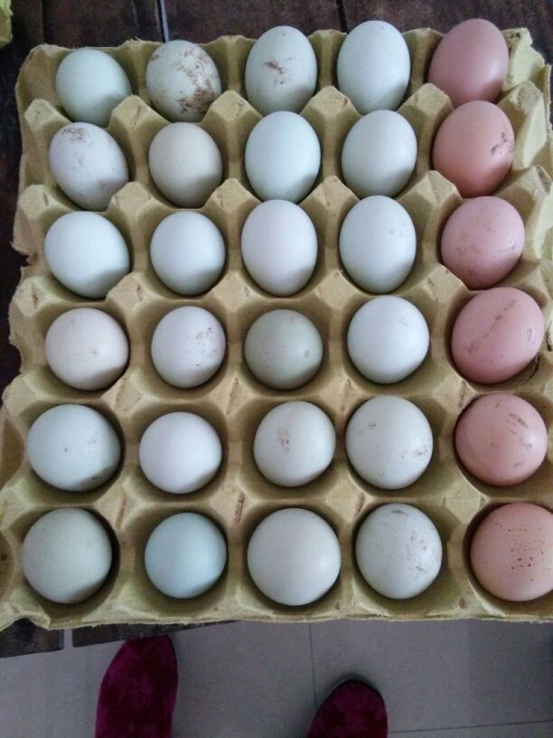 土鸡蛋食用40~50g