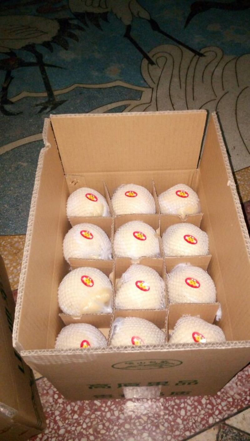 酥梨250~300g纸袋