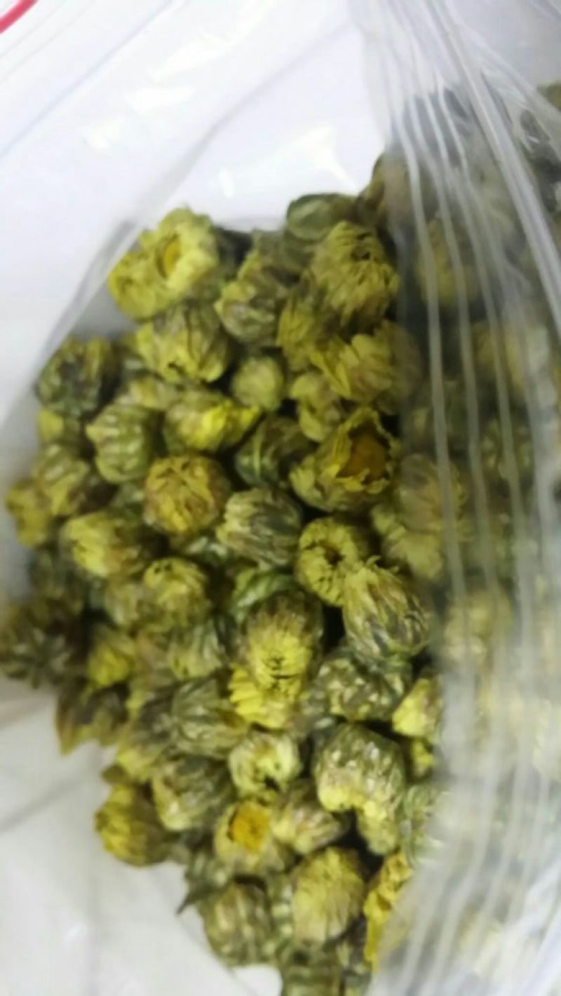 杭州白菊散装