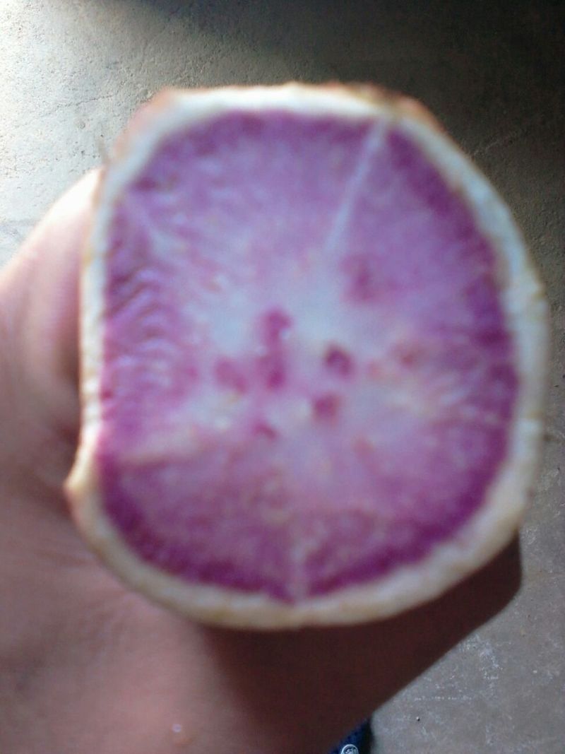 鸡蛋黄红薯