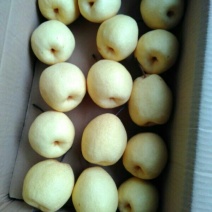 贡梨山西纸袋基地直发品质保证
