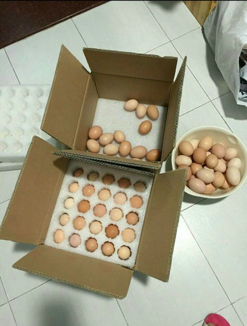 土鸡蛋食用75g以上