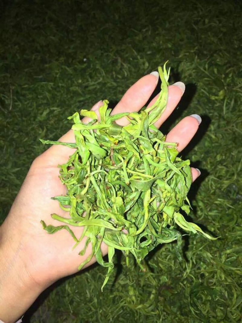 普洱茶