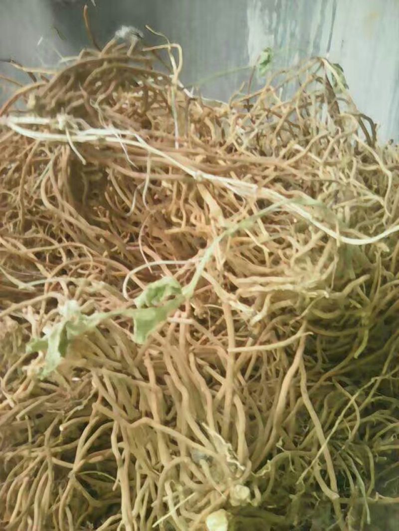 白薇野生白薇质量好量大价优