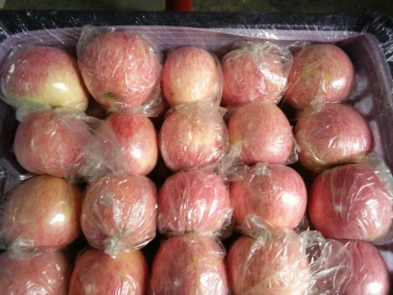 晚熟平陆坡上红富士苹果80mm以上纸+膜袋现货