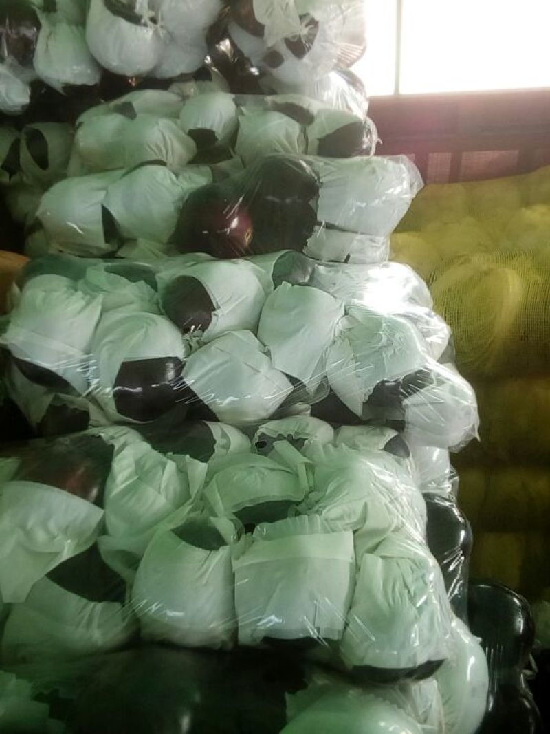茄子5两以上大量上市